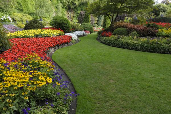 Landscaping Maintenance in Myrtle Beach