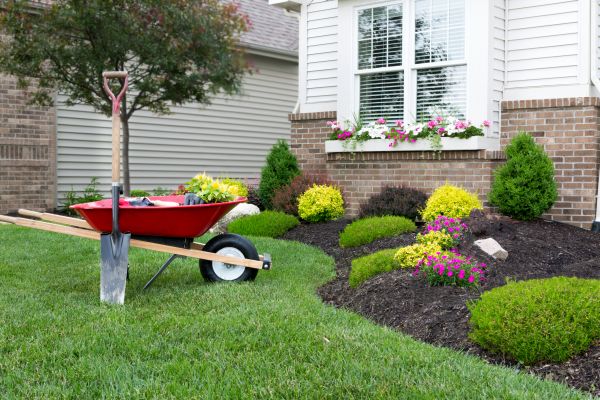 Landscape Maintenance Service in Myrtle Beach