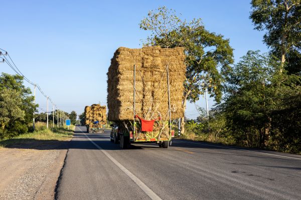 Pine Straw Delivery in Myrtle Beach