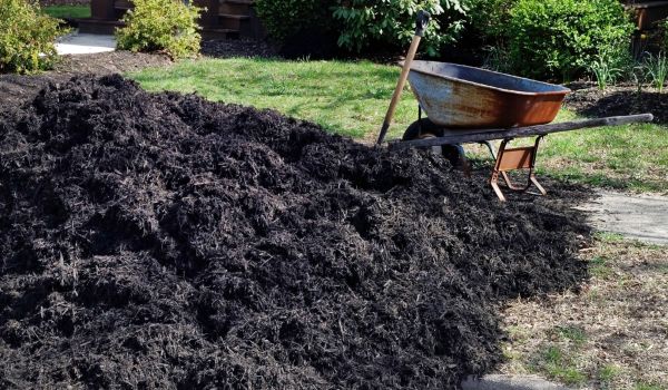 Black Mulch Delivery in Myrtle Beach