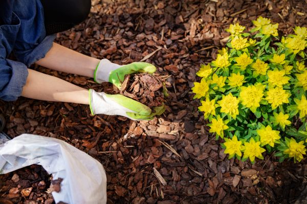 Garden Mulching in Myrtle Beach