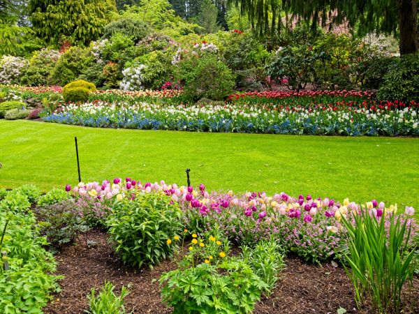 Residential Landscape Design in Myrtle Beach