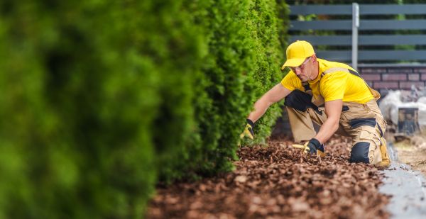 Cypress Mulch Installation in Myrtle Beach