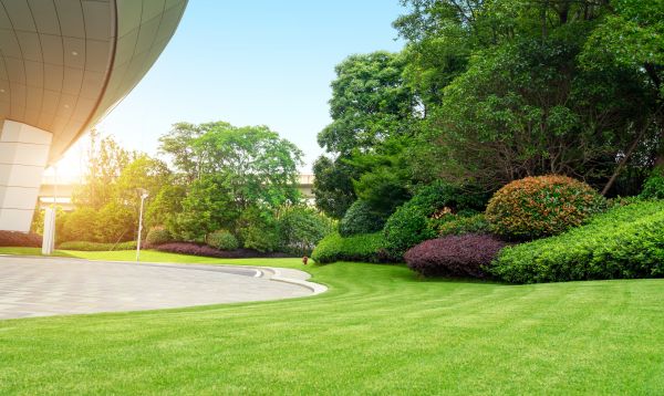 Business Landscape Design in Myrtle Beach