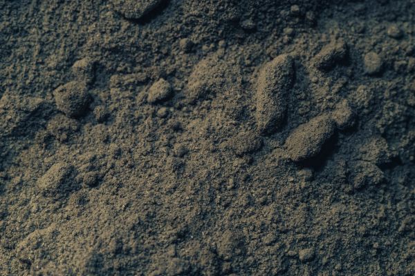 Loam Delivery in Myrtle Beach