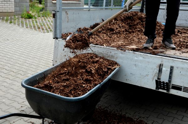 Landscape Mulch Delivery in Myrtle Beach