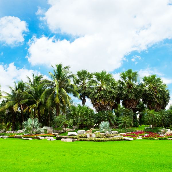 Tropical Landscaping in Myrtle Beach