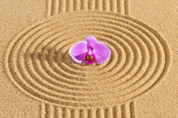 Sand Garden Landscaping in Myrtle Beach