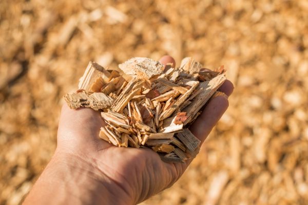 Wood Chips Spreading in Myrtle Beach