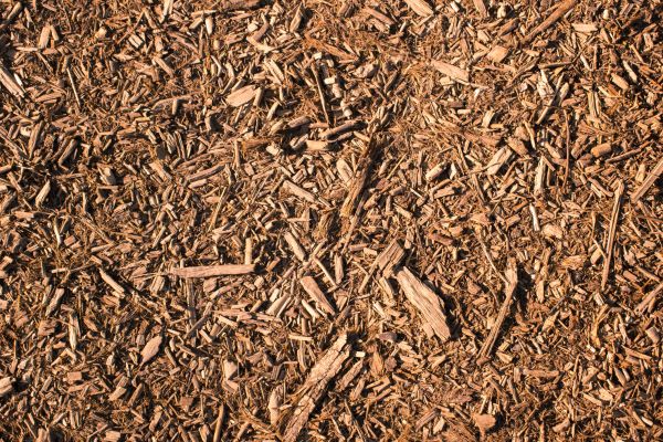 Wood Chips Removal in Myrtle Beach