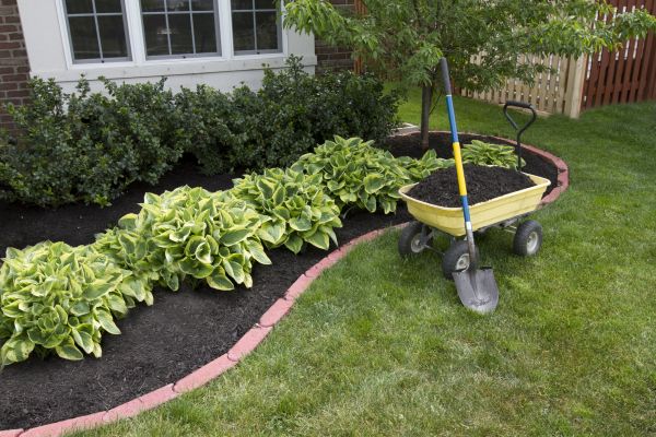 Landscape Mulching in Myrtle Beach