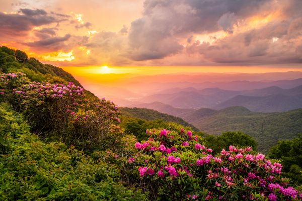 Hill Landscaping in Myrtle Beach