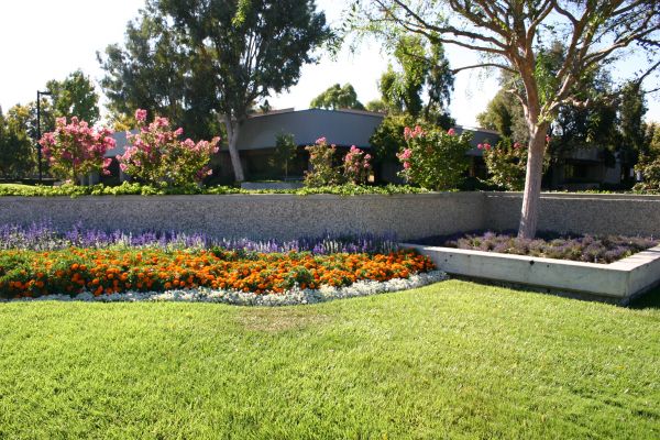Commercial Landscape Service in Myrtle Beach