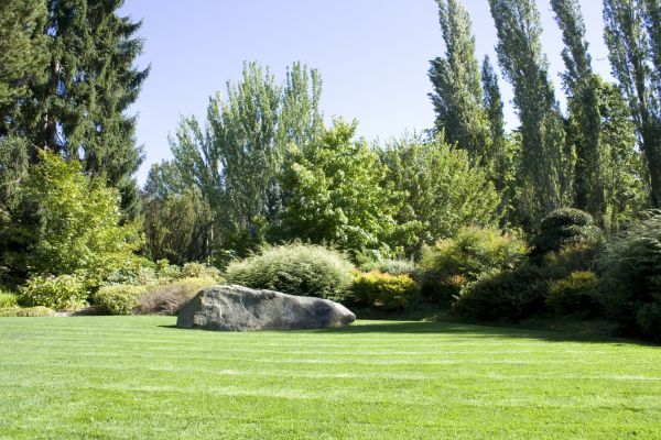 Yard Enlargement in Myrtle Beach