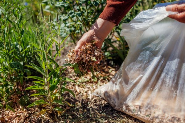 Wood Mulch Installation in Myrtle Beach
