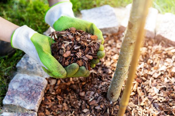 Tree Bark Delivery in Myrtle Beach