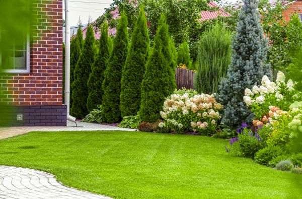 Spring Landscaping in Myrtle Beach