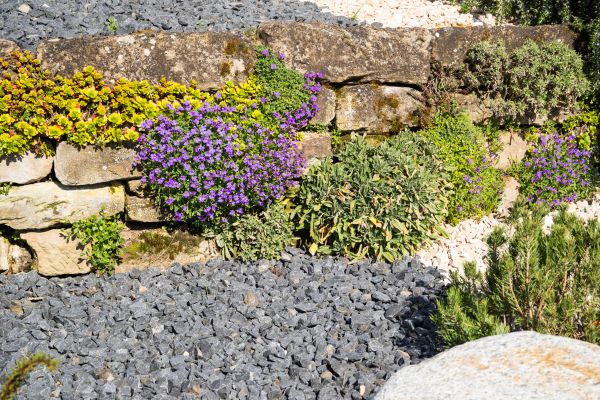 Landscaping Rocks Installation in Myrtle Beach