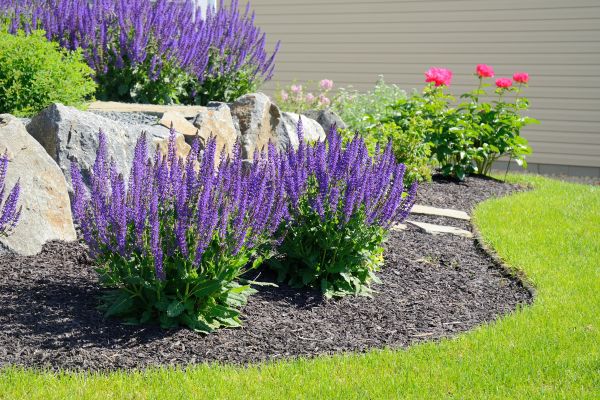 Landscape Planting Service in Myrtle Beach