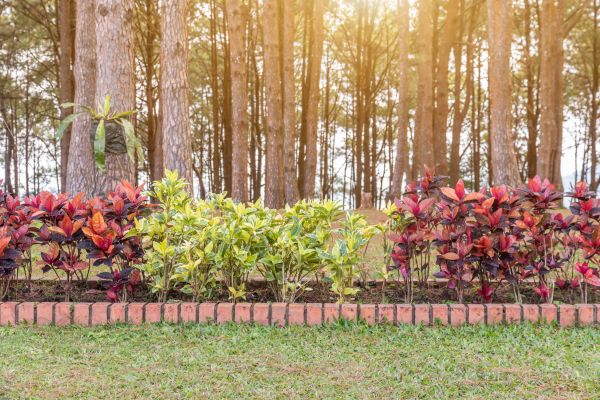 Small Garden Landscaping in Myrtle Beach